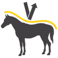 Stärkung der Abwehrkräfte