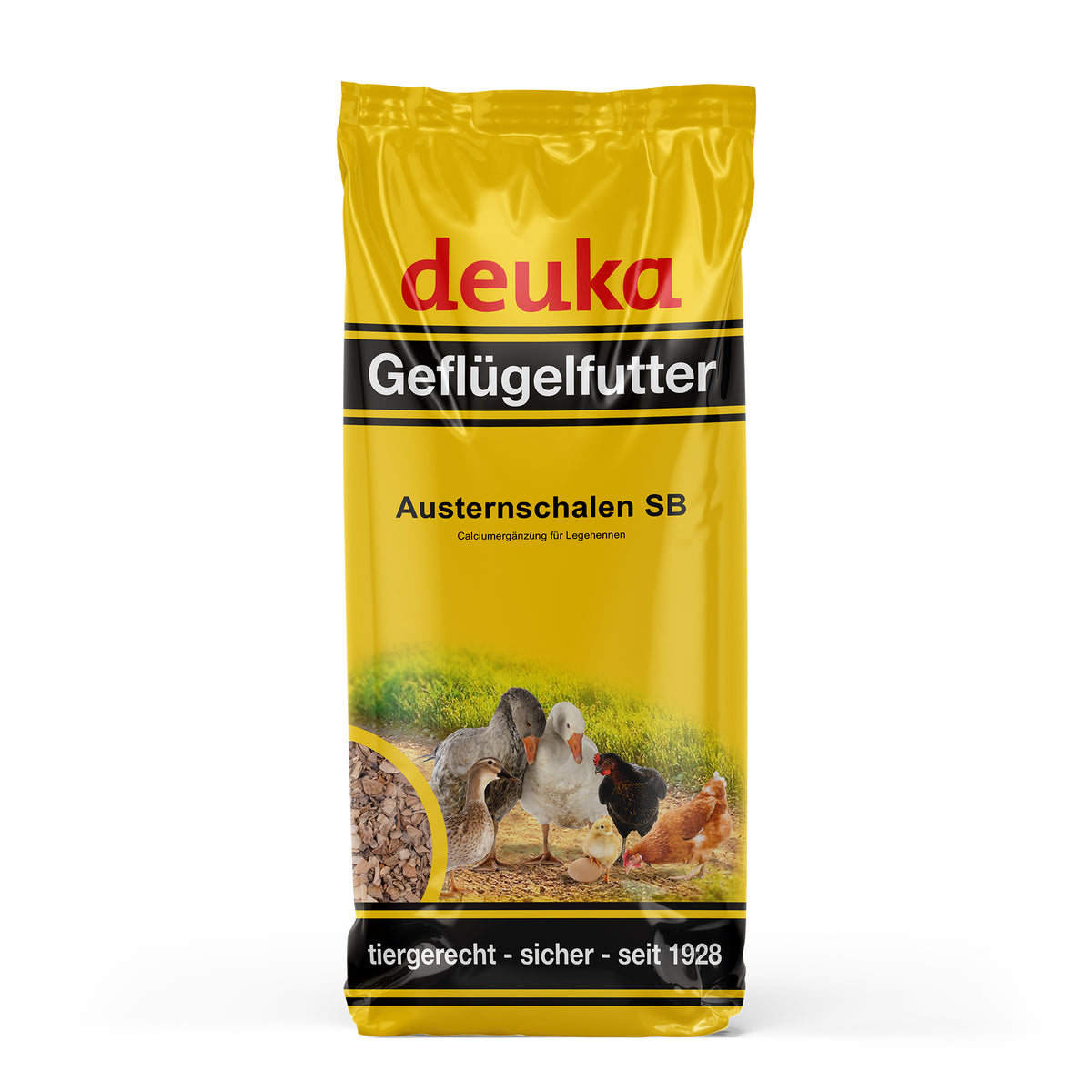 Austernschalen 5x5 kg